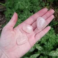Rose quartz polished tumblestone